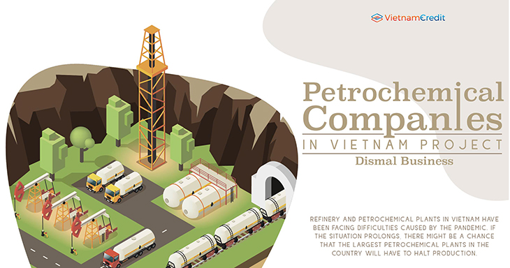 Petrochemical companies in Vietnam project dismal business